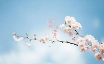 小学五月份工作计划7篇