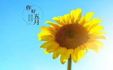 中班五月工作总结7篇