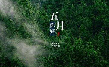 2024年幼儿园中班五月工作总结7篇