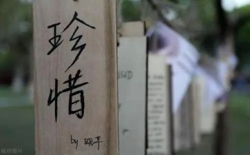 惜别作文作文8篇