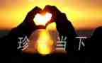 话题珍惜的作文7篇
