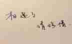 节约用水珍惜水资源演讲稿5篇