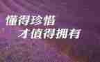 写珍惜的作文600字精选5篇