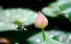夏雨作文300字作文6篇