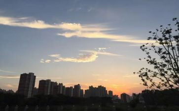 大班下班务工作计划8篇