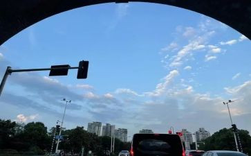 二年级下班主任工作总结优质5篇