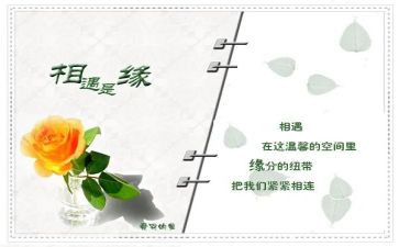 与爱相遇的作文7篇