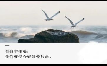 作文相遇800字6篇