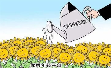2024年度乡镇干部个人总结6篇