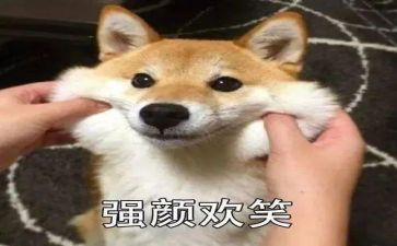 母亲的笑作文参考6篇