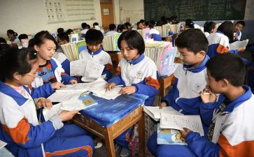 校本数体会学培训心得体会精选8篇