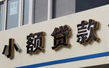 2024年小贷公司工作总结6篇