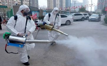 消毒工作个人总结5篇