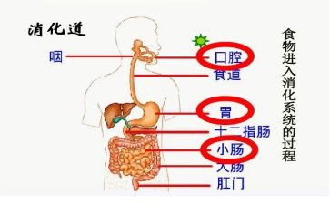 消化科医生述职报告6篇