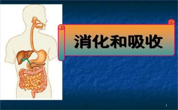消化内科2023工作计划5篇