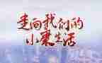 小康的心得体会8篇
