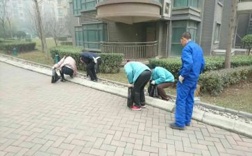 小区保洁工作总结个人总结5篇