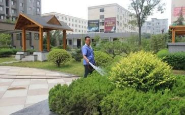2024小区物业工作计划5篇