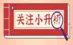 小升初培训心得体会8篇