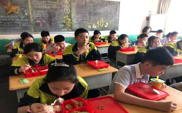 去小学化心得体会500字8篇