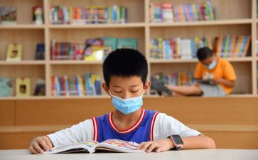 教师小学语文个人总结优质7篇