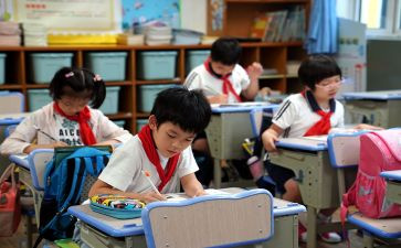 双减小学作业活动总结8篇