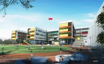 校园活动报告总结8篇