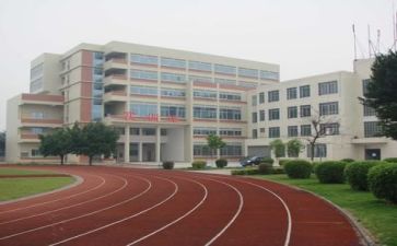 校园文化月心得体会8篇