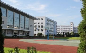 校园文化月活动方案7篇