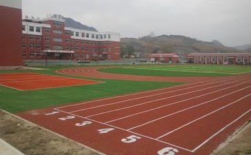 校园微调研调研报告6篇