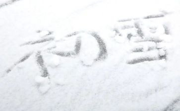 下雪的作文300字7篇