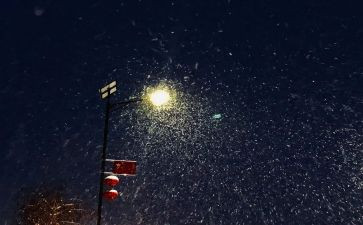 下雪的作文300字模板7篇
