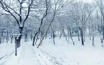 小班语言活动《下雪了》教案5篇