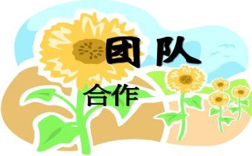 培训团队协作心得体会6篇