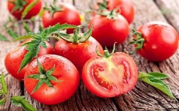 西红柿作文优质8篇