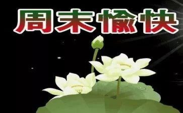 星期天的快乐作文6篇