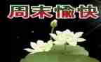 星期天的快乐作文6篇