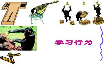 教师行为十不准心得8篇