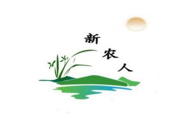 乡新农村工作工作总结6篇