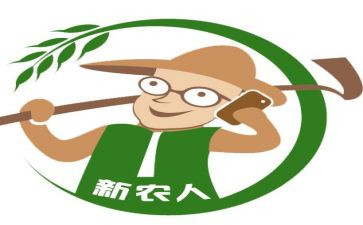 新农村建设工作总结参考7篇