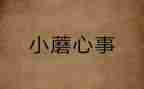 最美少年孝心事迹材料7篇
