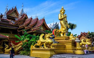 去西双版纳旅游心得体会6篇