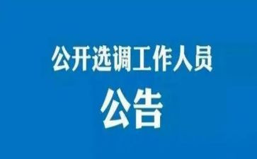 2024选调生工作总结范文6篇