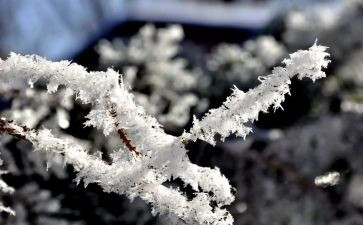 大扫除雪活动总结5篇