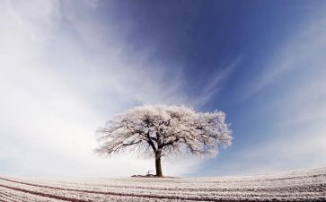 哦,香雪读后感600字5篇