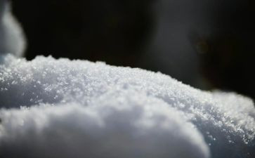 有关于雪的作文600字精选5篇