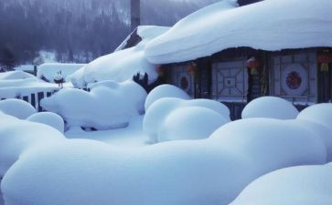 我是雪作文最新7篇