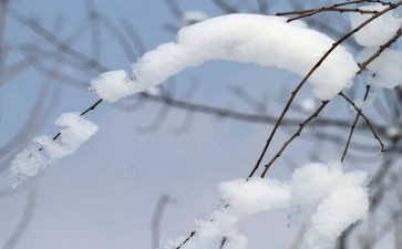学滑雪的作文通用7篇