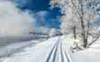 幼儿园关于雪的教案参考7篇