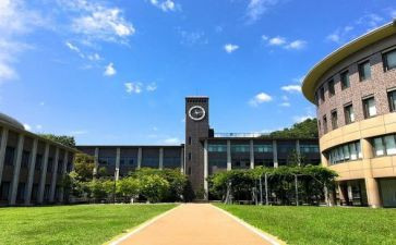 大学部长述职报告5篇